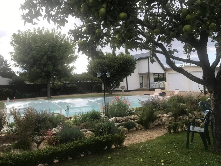 Gite Chalet-Piscine "Belle-Etoile" Touraine Anjou Courcelles-de-Touraine Exteriör bild